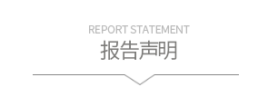 報(bào)告聲明